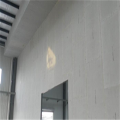 批发宁波ALC板|EPS加气板隔墙与混凝土整浇联接的实验研讨